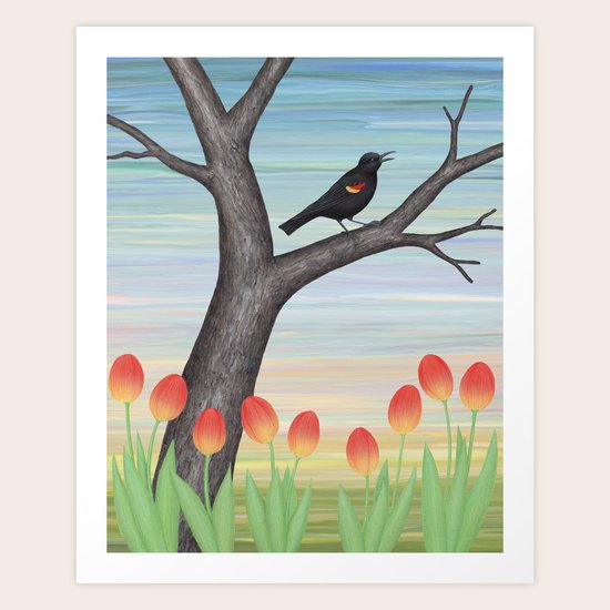 red winged blackbird and tulips Art Print