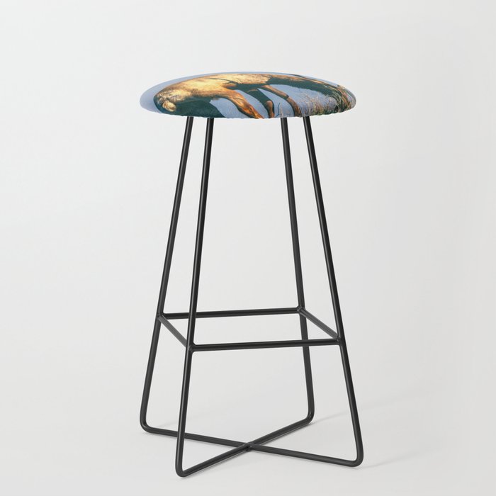 Snack Time Bar Stool