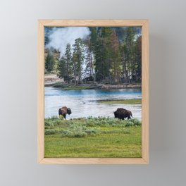 Yellowstone National Park Wyoming Buffalo Landscape Photography Framed Mini Art Print