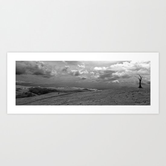 Dead Lonely Tree Art Print