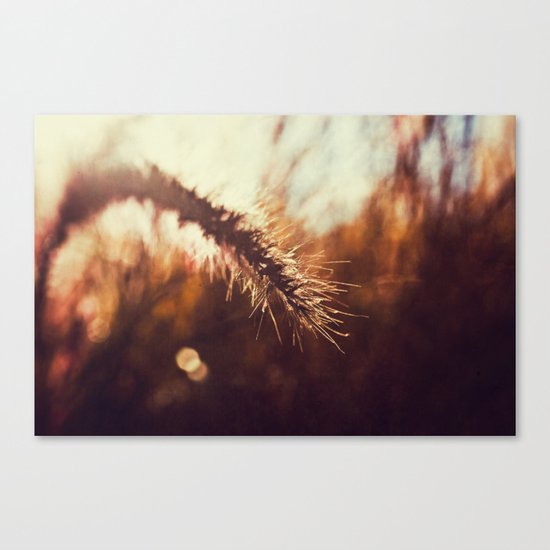 Ablaze Canvas Print