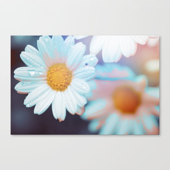 #124 Canvas Print