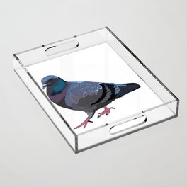 Pigeon Acrylic Tray