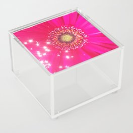 Sparkle Acrylic Box