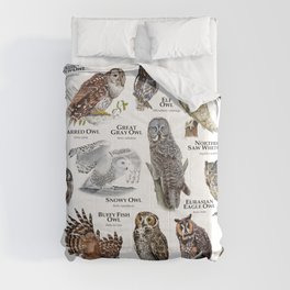 Owls of the World Comforter