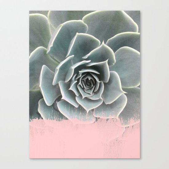 Sweet Pink Paint on Succulent Canvas Print