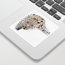 Local Eyes 'Leopard' Sticker