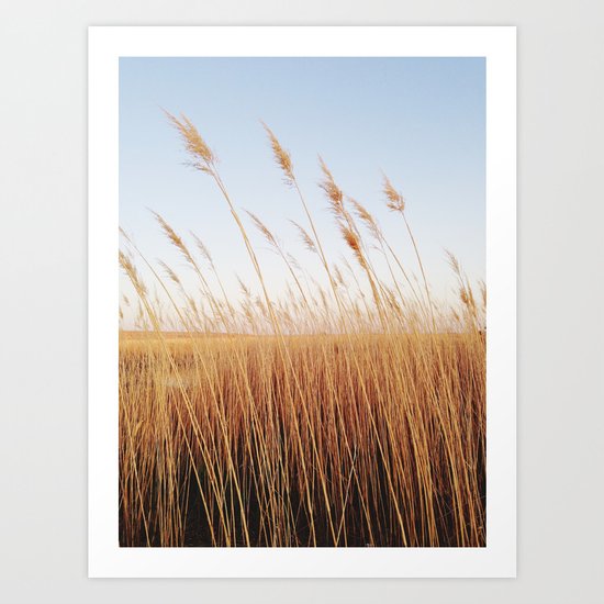 Refuge Sunset Art Print
