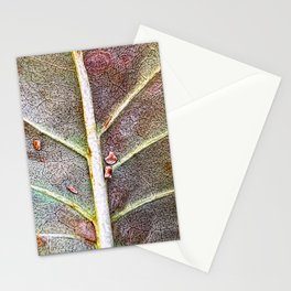 Zen Landscape Stationery Cards