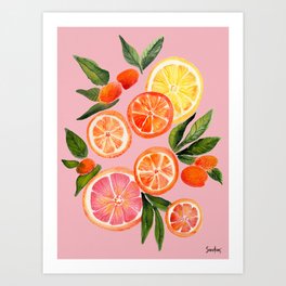 Citrus Mix Light Pink Art Print
