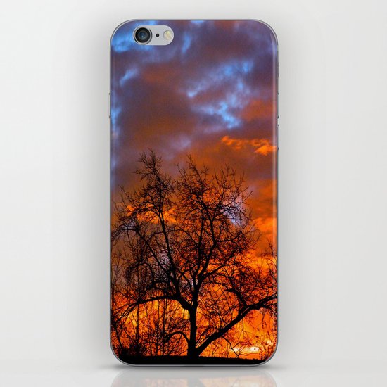 Winter Sunrise iPhone & iPod Skin