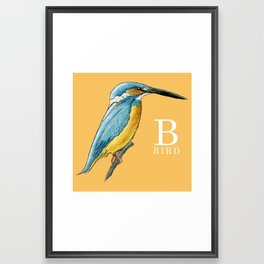 B is for Bird Framed Art Print