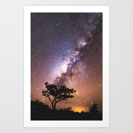 Milky Way Stars South Western Tree Art Print | View Scenic Galaxy, Outer Space In Of Q0, Colorado Rustical, Sky Stars Time The, Landscape Outdoor, College Rustic, Reflection Camping, South Western Desert, Purple Pink Blue, Light Lights Night 
