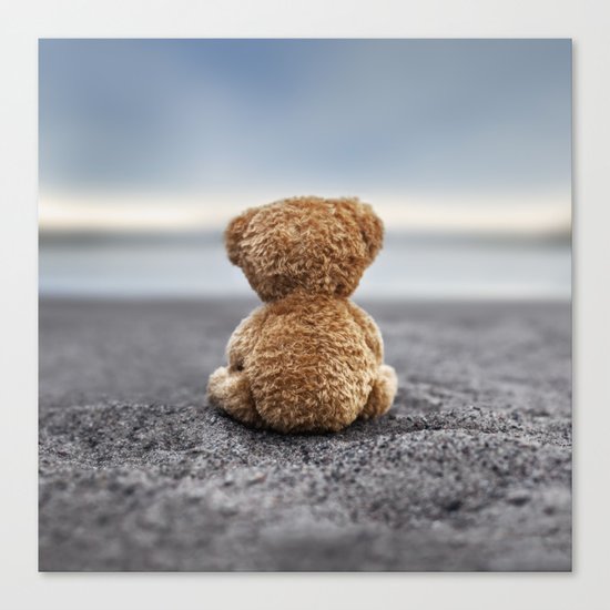 Teddy Blue Canvas Print