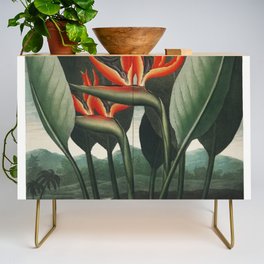 Red Exotic Flowers Credenza
