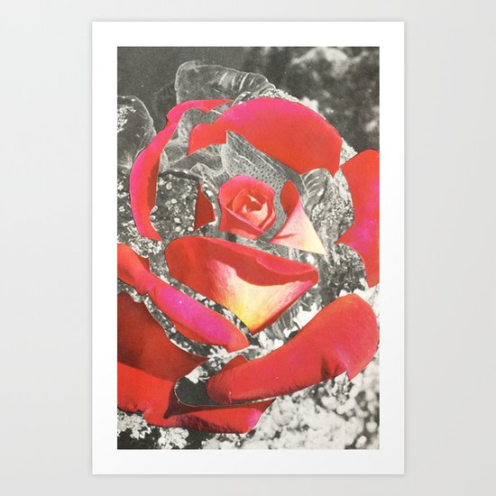 Exploded Rose Art Print