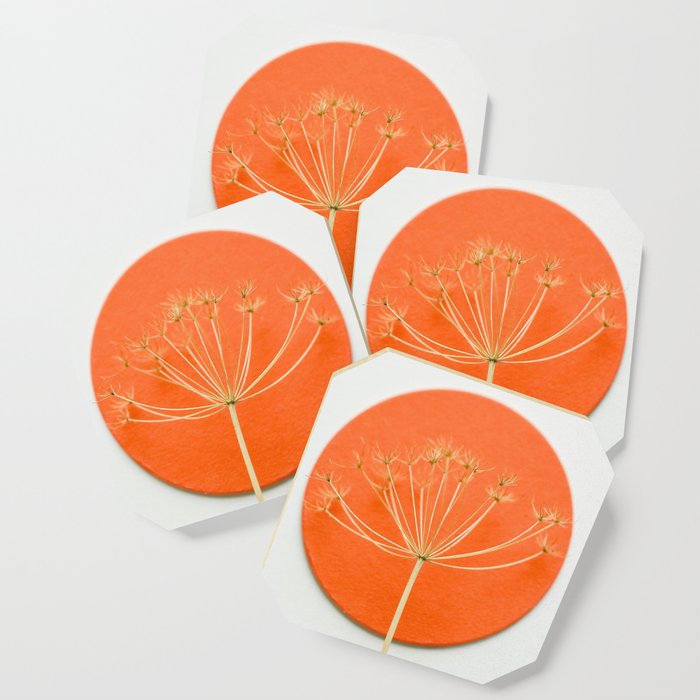 Orange circle and dried flower Coaster