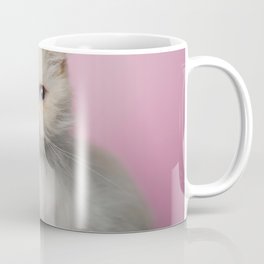Lord Aries Cat - Photography 008 Coffee Mug