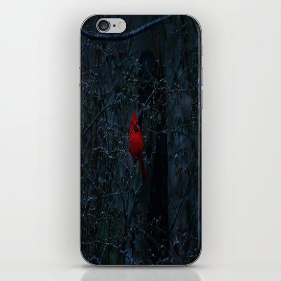 Color in the Dreary iPhone & iPod Skin
