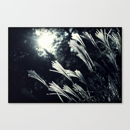 night walk Canvas Print