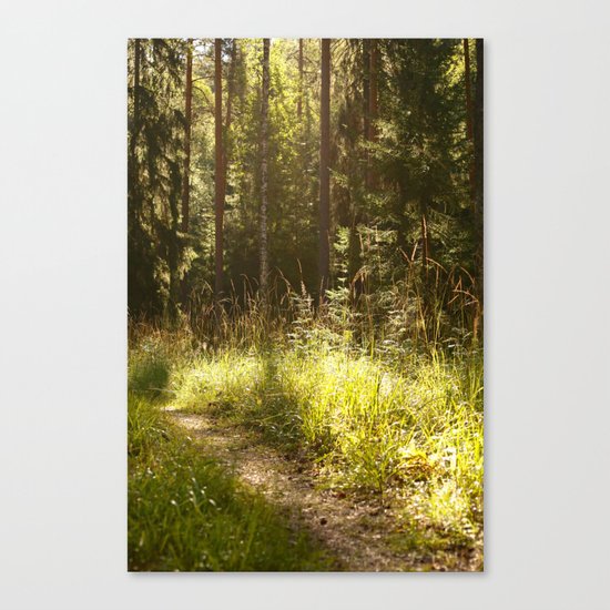 Forest Path Canvas Print