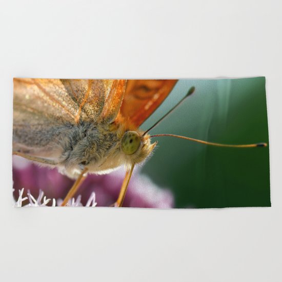 Butterfly macro 67 Beach Towel