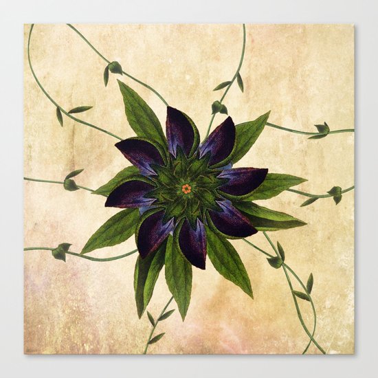 Jackmanii Canvas Print