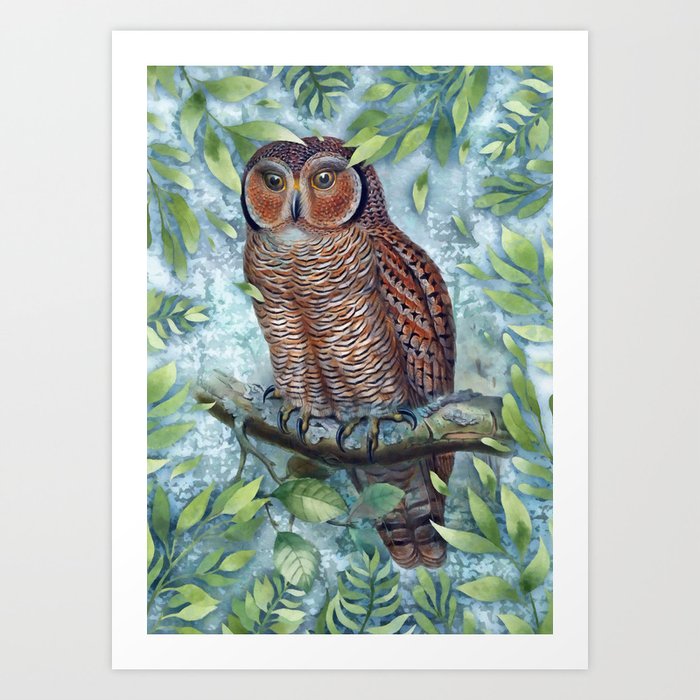 Forest Owl Art Print