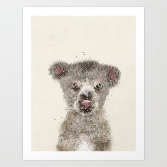 little koala Art Print
