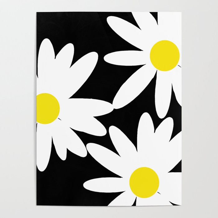 Large Daisy Flowers White Petals Black Background #decor #society6 #buyart Poster