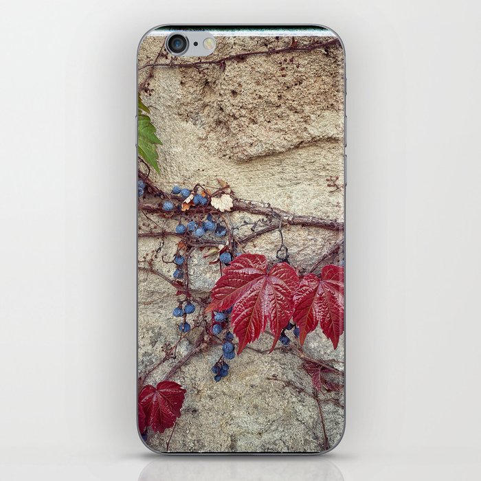Grapes Wall iPhone Skin