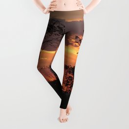 Brazil Photography - Silhouette Of Trees Under The Red Sunset Leggings