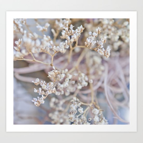 A New Life Awaits Art Print