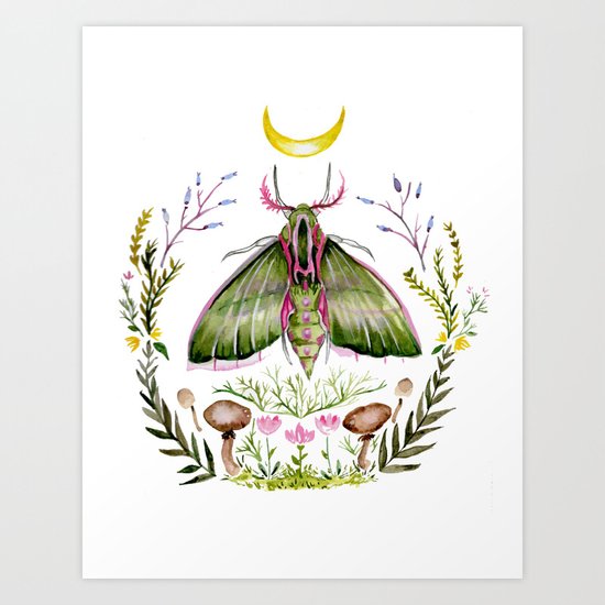 Pink Moth Art Print
