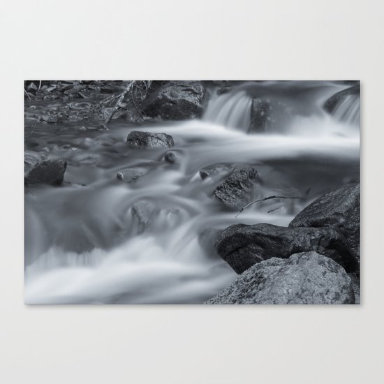 Silk II Canvas Print