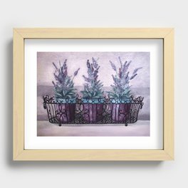 Three pots with lavender Recessed Framed Print