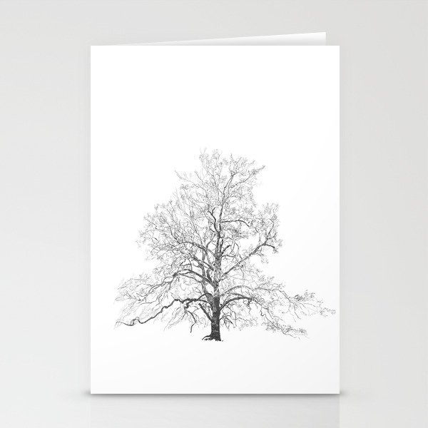 Sycamore Tree Stationery Cards