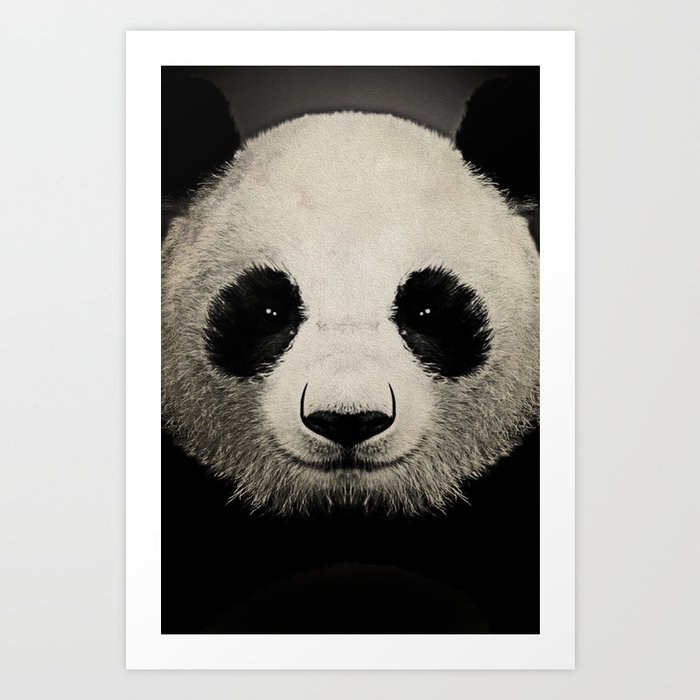 panda eyes 02 Art Print