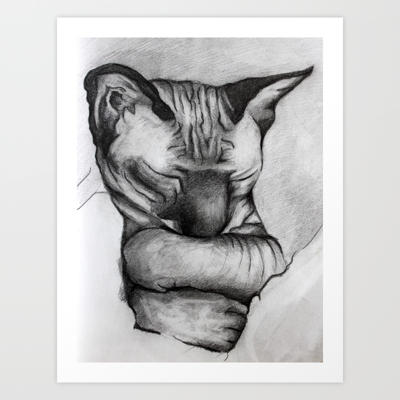 Cat Sphynx Sleeping Original Graphic Pencil Drawing Art Print