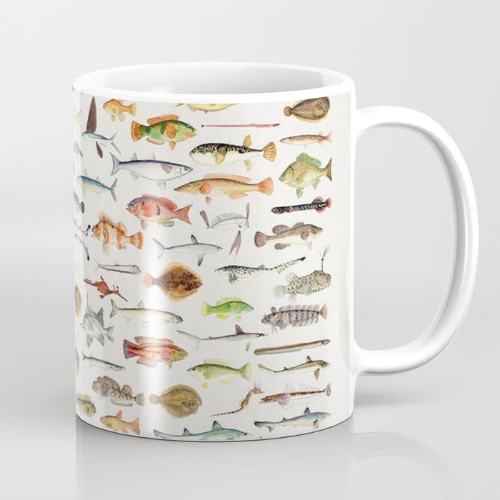 Illustrated Colorful Southern Pacific Exotic Game Fish Identification Chart Coffee Mug