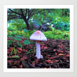 Mushroom Bright Light Art Print