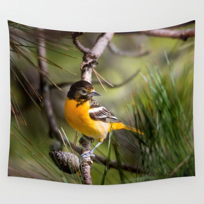 Oriole and Pine cone Wall Tapestry