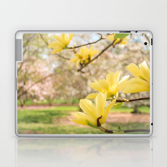 Stop and Stare Laptop & iPad Skin