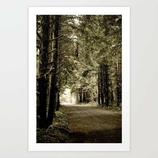 the path Art Print