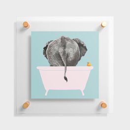 Baby Elephant in Bathtub Floating Acrylic Print