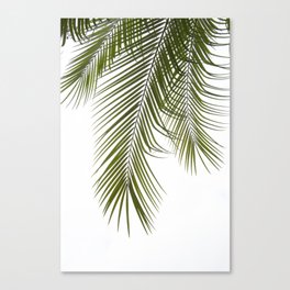 Palm Leaves III Canvas Print