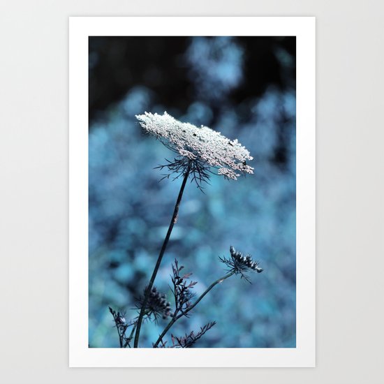 Dreaming of Company Art Print