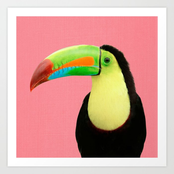 Toucan Bird - Pink Art Print