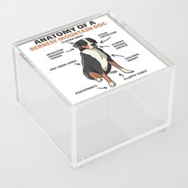 Anatomy Of A Bernese Mountain Dog Cute Dogs Puppy Acrylic Box