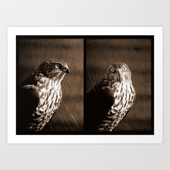 Portrait of a Predator - Diptych Art Print